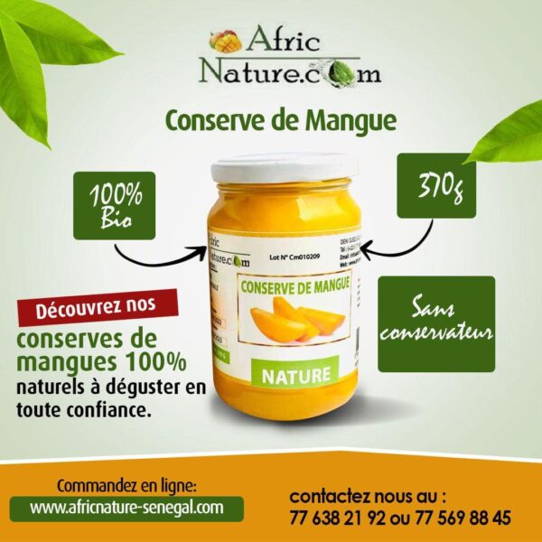 Conserve de Mangue – 370 g