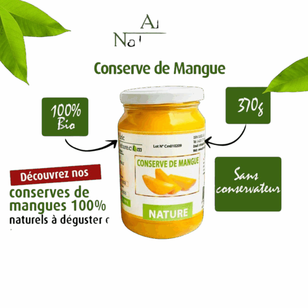 Conserve de Mangue – 370 g