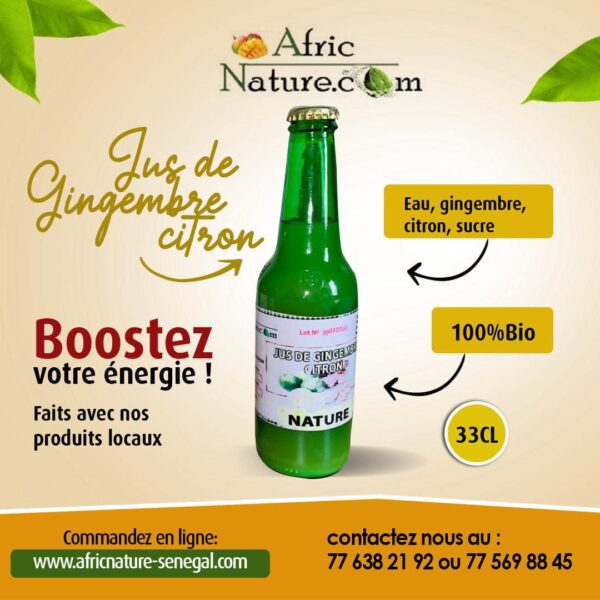 Jus Gingembre-Citron – 33 cl