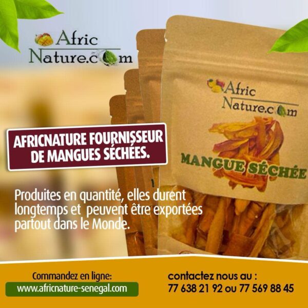Mangue Séchée Naturelle – 100 g