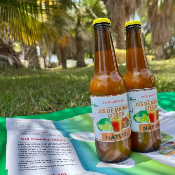 Jus Mangue-Citron – 33 cl