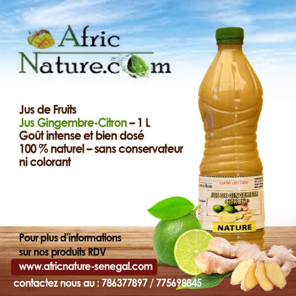 Jus Gingembre-Citron – 1 L
