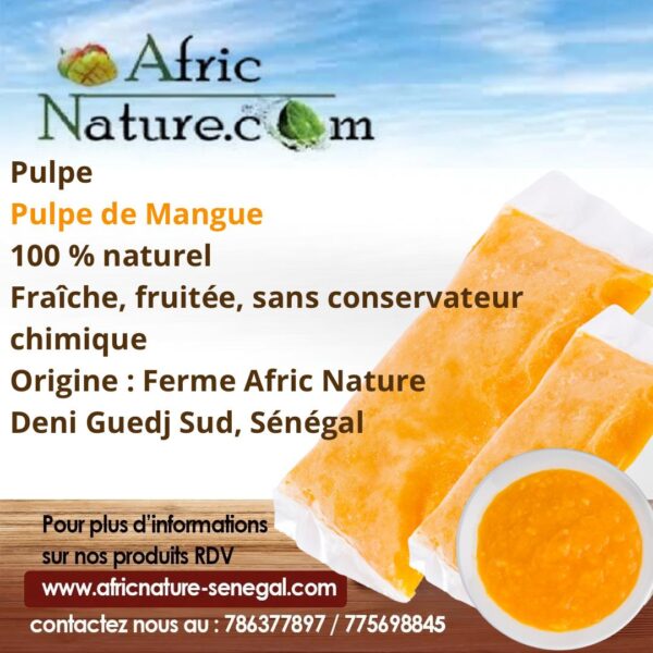 Pulpe de Mangue - 1 KG